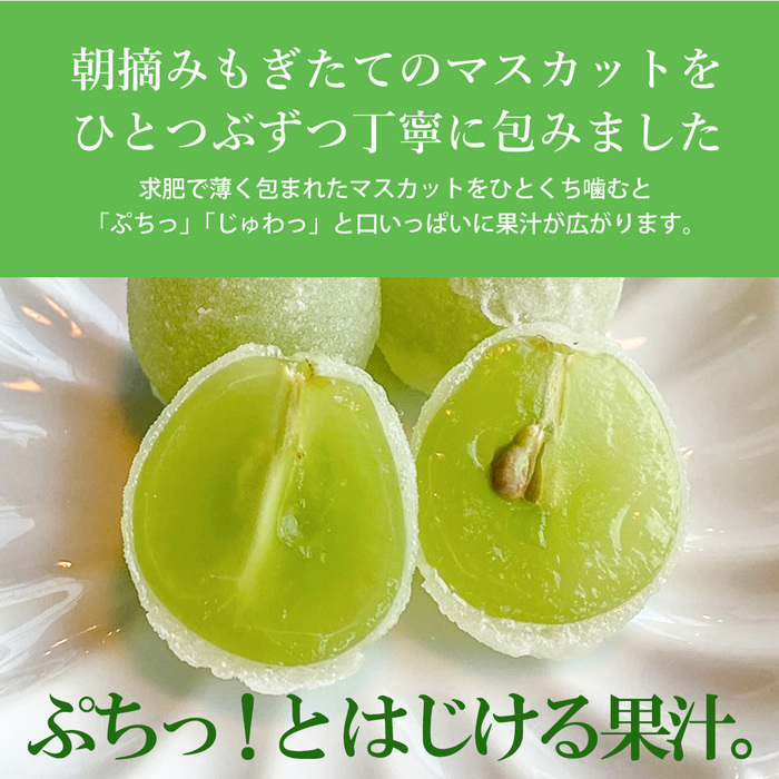 【先行受付】ひとつぶのマスカット 6個入り 2026年5月中旬以降発送予定 共楽堂 夏季限定品 ぶどう ブドウ スイーツ デザート 和菓子 お菓子 018001