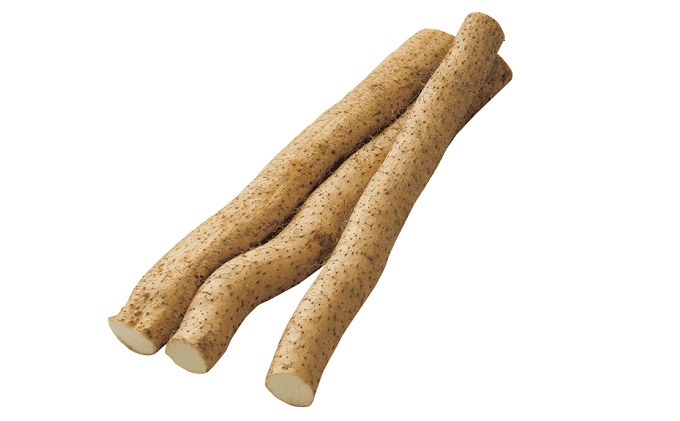 標高375ｍで採れた！自然薯（化粧箱入り）800g 野菜 自然薯 とろろ 広島 三原 029005