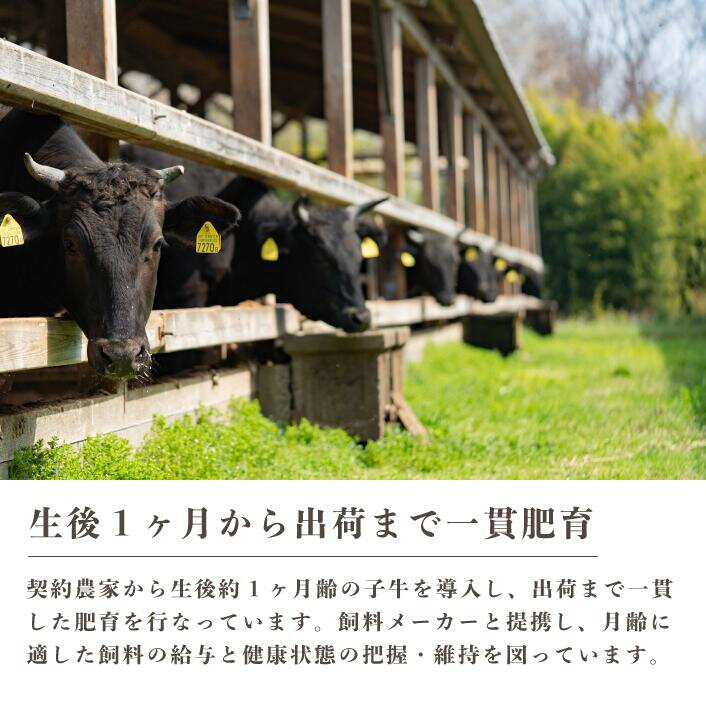 【ミノリフーズ】みのり牛肩ローススライス 1.2kg（600g×2パック） 牛肉 お肉 旨み 脂あっさり 食材 調理 料理 国産 ビーフ　052013