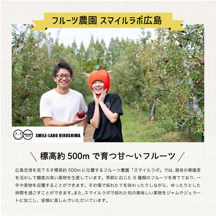 【先行受付】高妻（ピオーネ）2kg 2026年9月以降順次発送予定 ブドウ 葡萄 ぶどう 高妻 フルーツ 果物 新鮮 産地直送 広島県三原市 059004