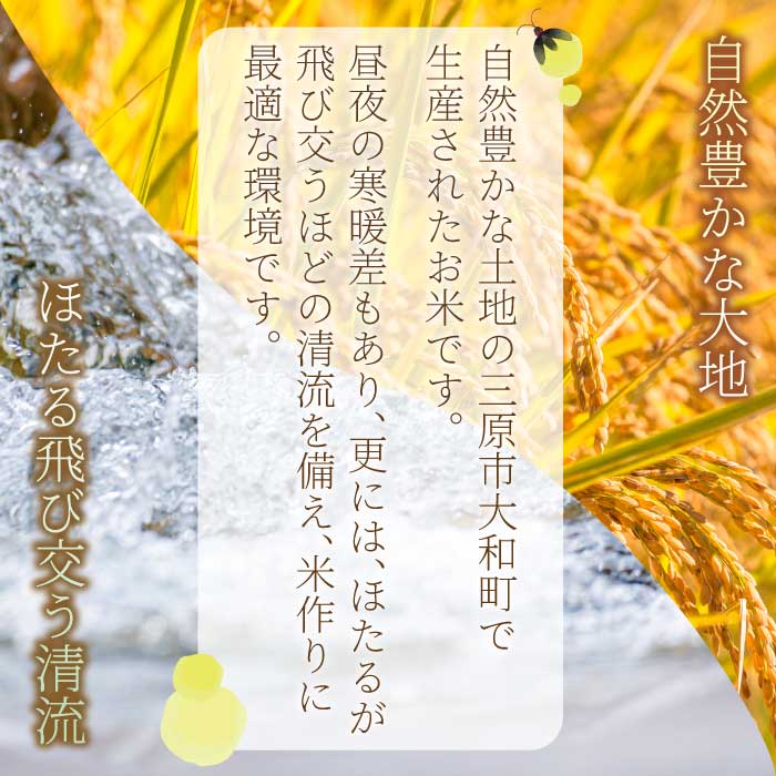 ほたる米「大和の里」広島あきろまん10kg(5kgx2) 白米 精米 米 こめ 令和7年産 066010