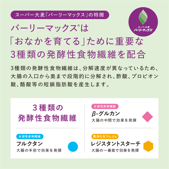 マイ・フローラグラノーラ200g×4袋 食物繊維 腸活 野村乳業 104014