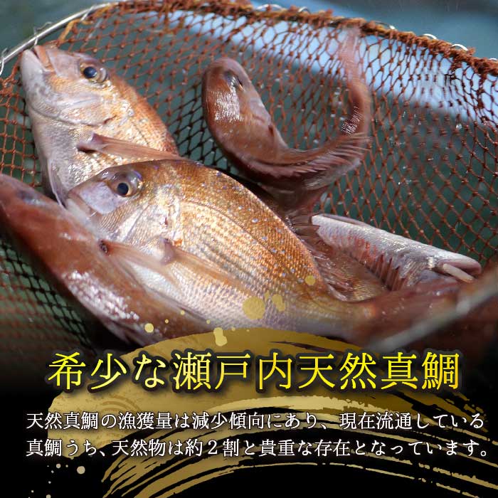 瀬戸内産 天然鯛 約2.5kg（500g×5匹/鱗・内臓処理）・鮮魚2種 詰め合わせ 地魚 鯛 天然鯛 真鯛 天然 鮮魚 下処理済 瀬戸内 広島県 三原市 154007
