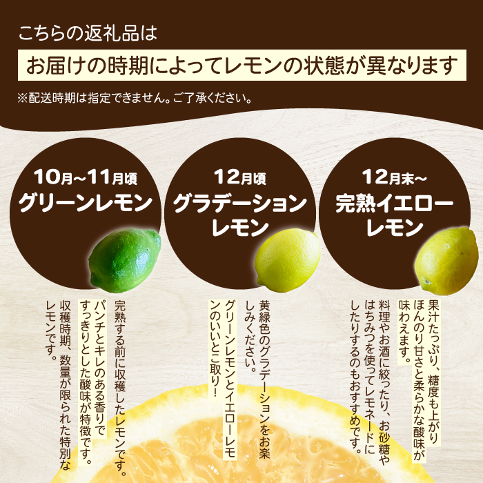 【おくはち農園】レモン 4.5kg 《2025年11月～2026年3月発送予定》栽培期間中 防腐剤 ワックス 不使用 旬 柑橘 かんきつ フルーツ 果物  166022