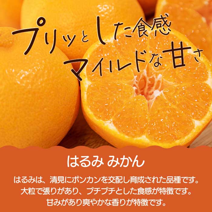 【おくはち農園】はるみ 2.5kg レモン3～4個《2026年2～3月発送予定》栽培期間中 防腐剤 ワックス 不使用 旬 柑橘 かんきつ フルーツ 果物 瀬戸内 166024