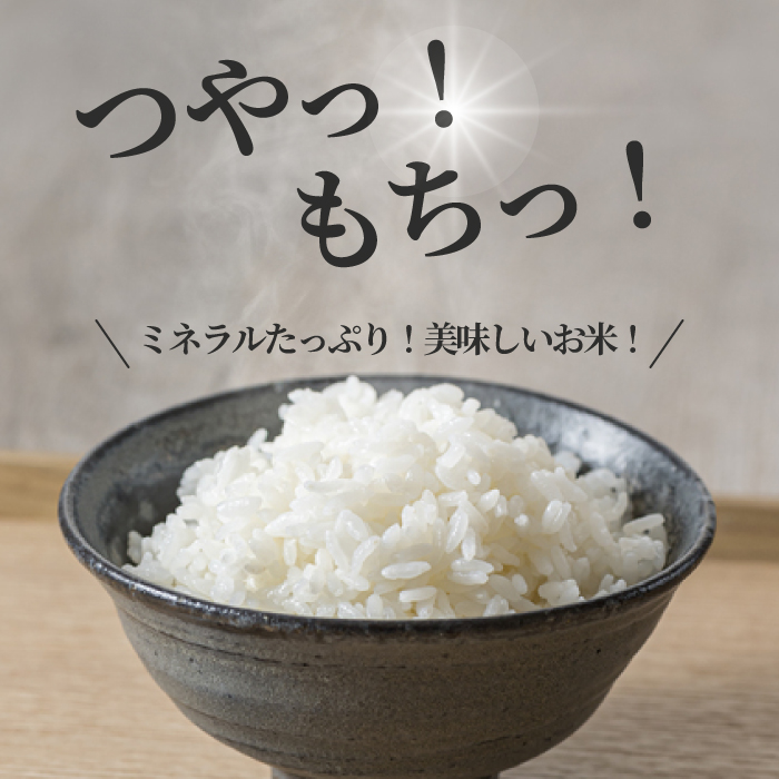 【令和7年新米】コシヒカリ 精米（白米）5kg 新米 コシヒカリ こしひかり ごはん お米 米 おにぎり 181002
