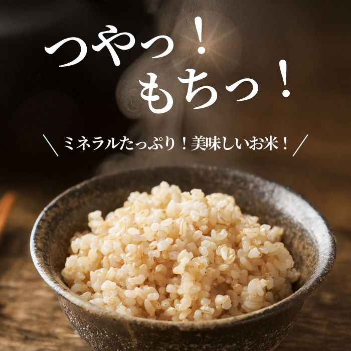 【令和7年】コシヒカリ 玄米 10kg 新米 コシヒカリ こしひかり ごはん お米 米 181003