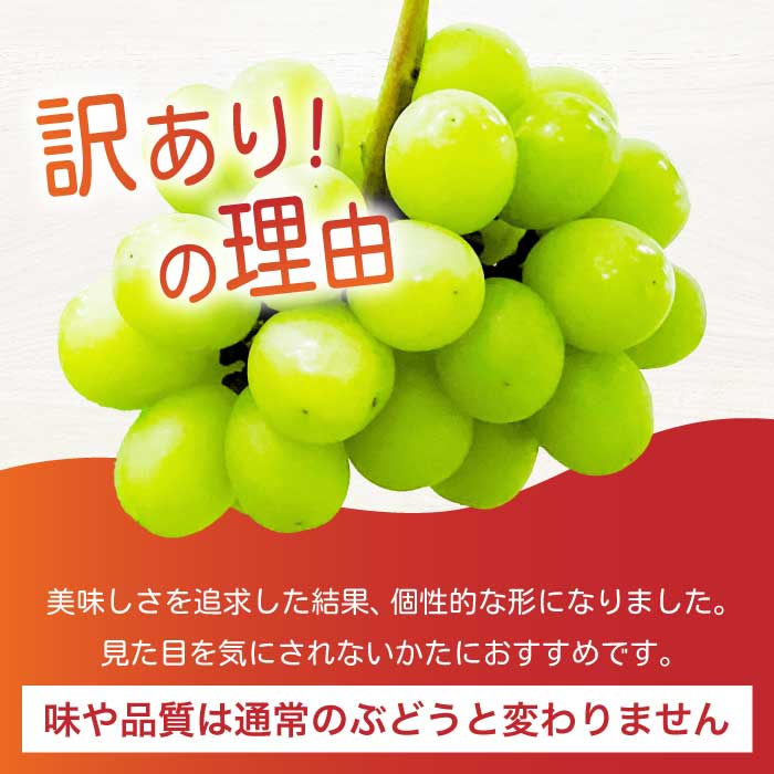 《2026年夏頃発送・先行受付》【ひのきファームランド】 訳あり ぶぶシャインマスカット 1kg ぶどう マスカット 果物 フルーツ 233001