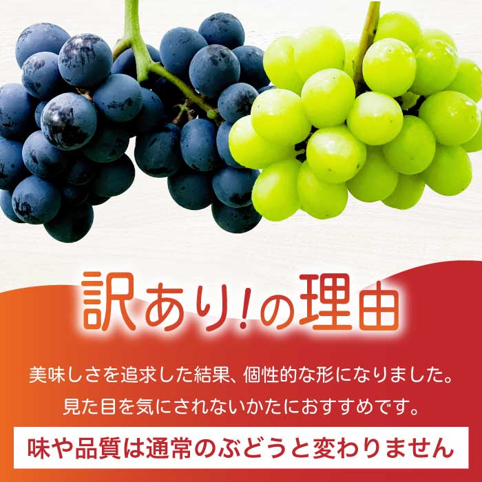 《2026年夏頃発送・先行受付》【ひのきファームランド】訳あり ぶぶぶどう詰め合わせ2kg ブブシャインマスカット 1kg ブブナガノパープル 1kg ぶどう マスカット 果物 フルーツ 233003
