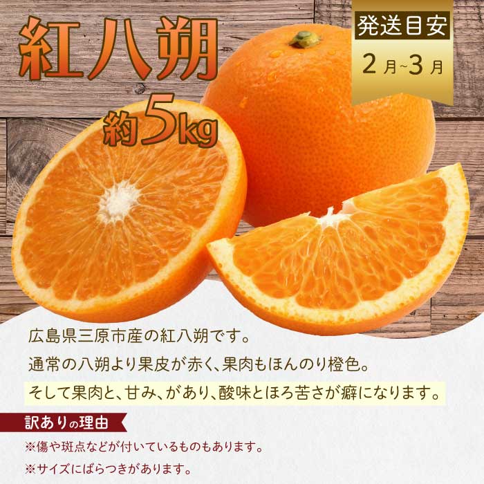 【年3回定期便】瀬戸内の恵みがいっぱい！＜訳あり＞人気の厳選フルーツ定期便 いちご ぶどう シャインマスカット 紅八朔 広島県三原市 イチゴ ブドウ ナガノ はっさく T08