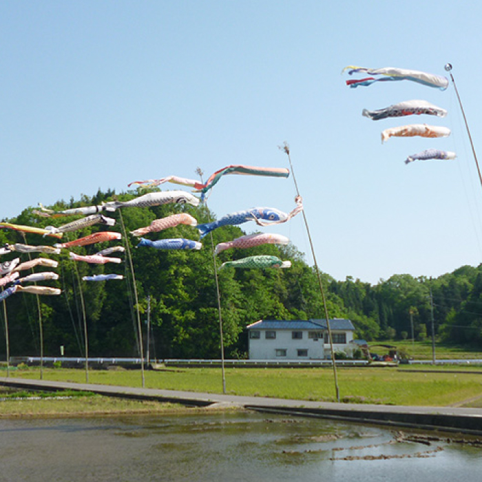 【栽培期間中・無肥料無農薬】瀬戸内三原 羊飼いのこしひかり 白米 1.8kg 2025年9月上旬発送予定 瀬戸内ビオファーム お米 こめ ご飯 002016