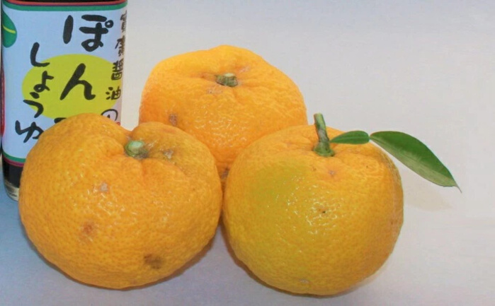 ぽん酢、うまみ醤油2本セット  三原市 実広醤油  調味料 しょうゆ ゆずぽん酢 料理 調理 セット 007005