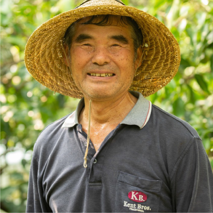 レモン【先行受付】【2025年12月以降発送】【栽培期間中農薬・除草剤不使用】離島 佐木島！レモン 約1.5kg   広島 三原 佐木島 鷺島みかんじま 017007