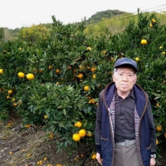  みかん【先行受付】【2026年1月末以降発送】 濃厚な甘さが特徴！青島みかん ＜約7kg＞ 広島 三原 佐木島 鷺島みかんじま 017055