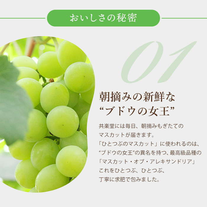 【先行受付】ひとつぶのマスカット 6個入り 2026年5月中旬以降発送予定 共楽堂 夏季限定品 ぶどう ブドウ スイーツ デザート 和菓子 お菓子 018001