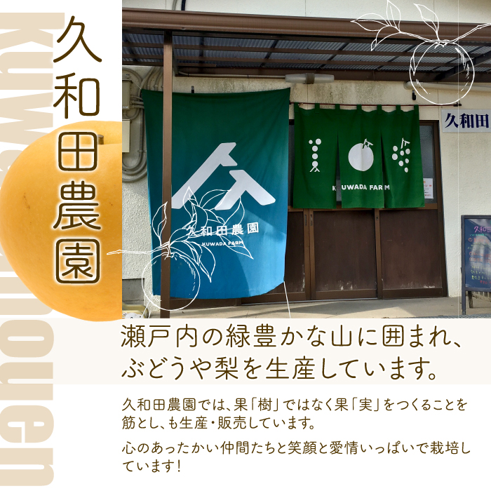 【久和田農園】 甘味がぎゅっと あたご梨 2kg なし フルーツ 梨 果物 広島県三原市 034009