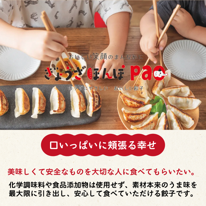 【3か月定期便】paoの無添加餃子「しそぎょうざ」520g(約40個) 全3回お届け 餃子 ギョーザ 惣菜 冷凍 中華 点心 おかず おつまみ 国産野菜 しそ風味 科学調味料不使用 食品添加物不使用 058018