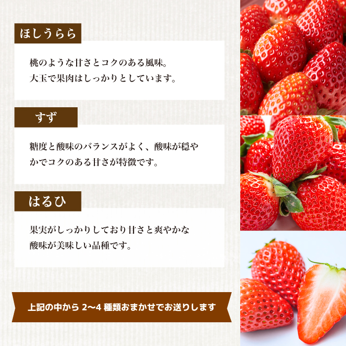 【先行受付】フルーツ農園のおまかせ ～ いちご ～ 450g×2パック 2026年3月中旬以降発送予定 イチゴ 苺 フルーツ 果物 広島県 三原市 059023