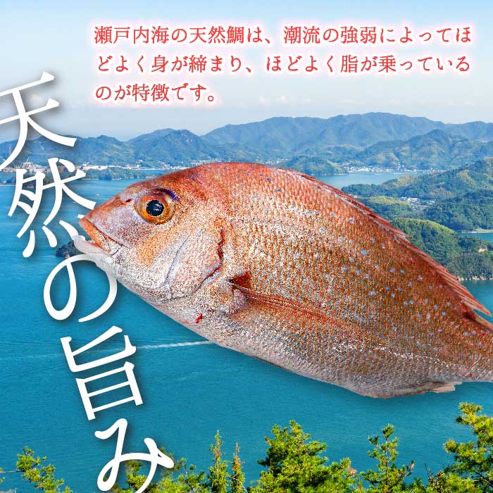 瀬戸内産 天然鯛 約2.5kg（500g×5匹/鱗・内臓処理）・鮮魚2種 詰め合わせ 地魚 鯛 天然鯛 真鯛 天然 鮮魚 下処理済 瀬戸内 広島県 三原市 154007