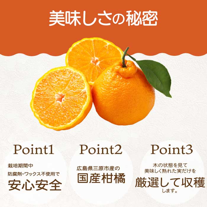 【おくはち農園】〈訳あり〉不知火 （しらぬい）2.5kg  《2026年3月～4月発送予定》栽培期間中 防腐剤 ワックス 不使用 旬 柑橘 かんきつ デコポン フルーツ 果物 瀬戸内 166009 