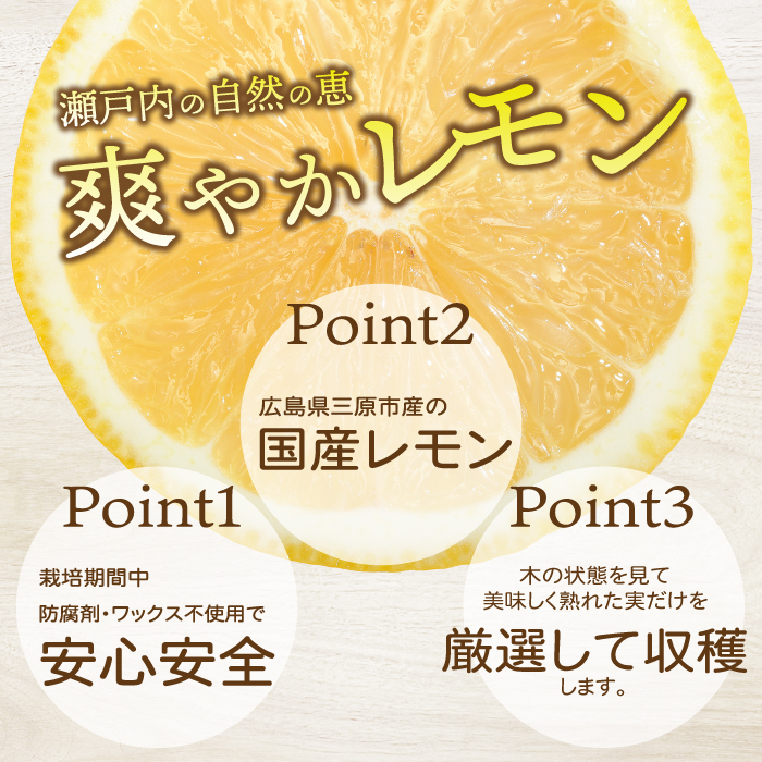 【おくはち農園】レモン 4.5kg 《2025年11月～2026年3月発送予定》栽培期間中 防腐剤 ワックス 不使用 旬 柑橘 かんきつ フルーツ 果物  166022