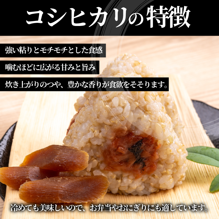 【令和7年】コシヒカリ 玄米 10kg 新米 コシヒカリ こしひかり ごはん お米 米 181003