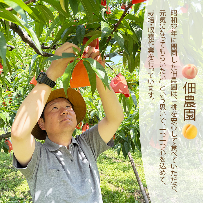 【先行受付】つくださんの桃 6個 約1kg もも モモ 果物 フルーツ 夏 広島県三原市 210001