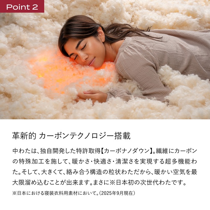 ブレインスリープ コンフォーター パーフェクト ウォーム EX ダブル（DOUBLE）掛け布団 ふとん カバー不要 断熱 毛布 サステナブル 219003