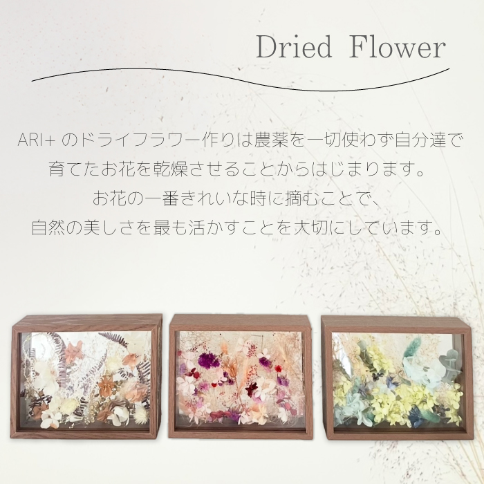 【ARI＋】ドライフラワーフレーム C グリーン 緑 黄 自宅 インテリア 花 置物 お祝い ギフト 装飾 226003