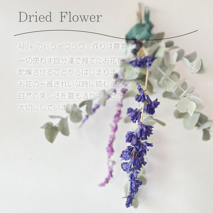 【ARI＋】季節のドライフラワースワッグ 自宅 インテリア 花 置物 お祝い ギフト 装飾 226005