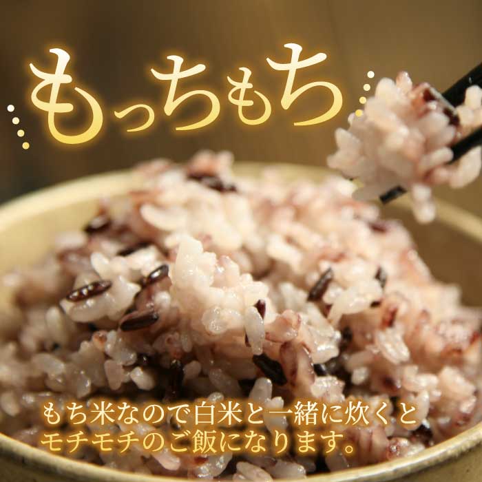【安心！広島ブランド】広島県産 特別栽培 黒米 500g×1パック 国産 漆黒のサプリ 美容 健康 サプリメント 食物繊維 ミネラル ご飯 ごはん 227002