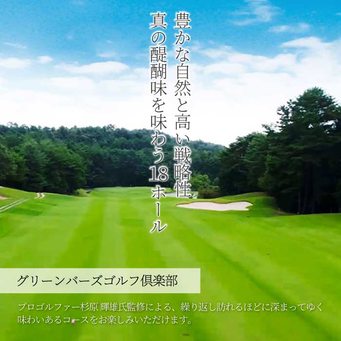 送迎付ゴルフパック【平日4人パック】ゴルフ場 ゴルフ チケット ゴルフ場利用券 広島県 三原市 広島空港 ゴルフボール グリーンバーズゴルフ倶楽部 231003