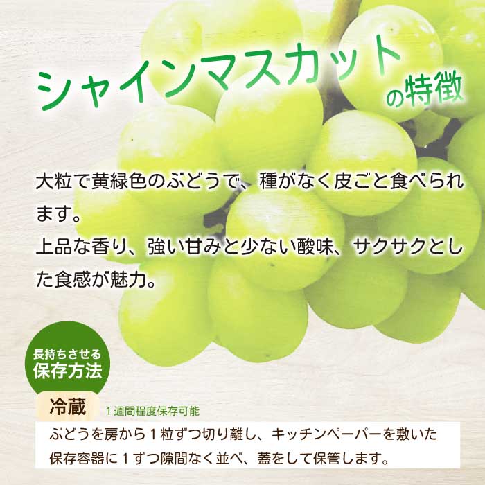 《2026年夏頃発送・先行受付》【ひのきファームランド】 訳あり ぶぶシャインマスカット 1kg ぶどう マスカット 果物 フルーツ 233001