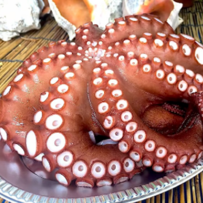 秘伝タレ！瀬戸内の新鮮焼き穴子（L）とゆでだこ（L）のセット019002