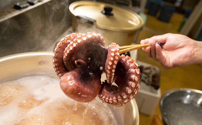 三原やっさタコ浜ゆで刺身（大）約260g 031004