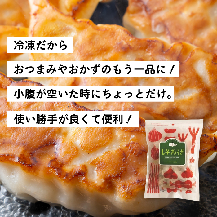 【3か月定期便】paoの無添加餃子「しそぎょうざ」520g(約40個) 全3回お届け 餃子 ギョーザ 惣菜 冷凍 中華 点心 おかず おつまみ 国産野菜 しそ風味 科学調味料不使用 食品添加物不使用 058018