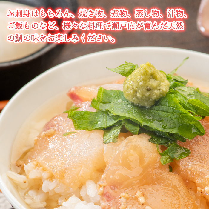 瀬戸内産 天然真鯛 約1.5kg（500g×3匹）【調理が楽ちん！三枚おろし・真空パックでお届け！】鯛 天然鯛 真鯛 天然 鮮魚 下処理済 三枚おろし 瀬戸内 広島県 三原市　154002