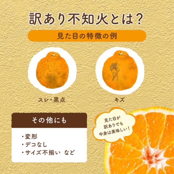 【先行受付】＜訳あり＞瀬戸内 島の不知火 約5kg 白鷺農園《2026年2月下旬～4月上旬頃出荷》 デコポン と同品種  旬 柑橘 フルーツ 果物 しらぬい デコポン わけあり 規格外 不知火 164003