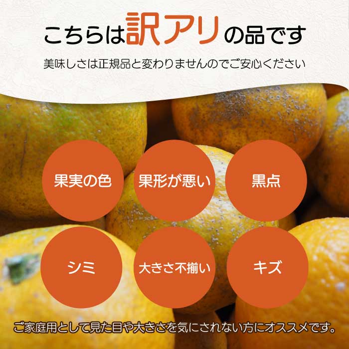 【おくはち農園】〈訳あり〉紅八朔 5kg 《2026年2～3月発送予定》栽培期間中 防腐剤 ワックス 不使用 旬 柑橘 かんきつ はっさく フルーツ 果物 瀬戸内 166006 