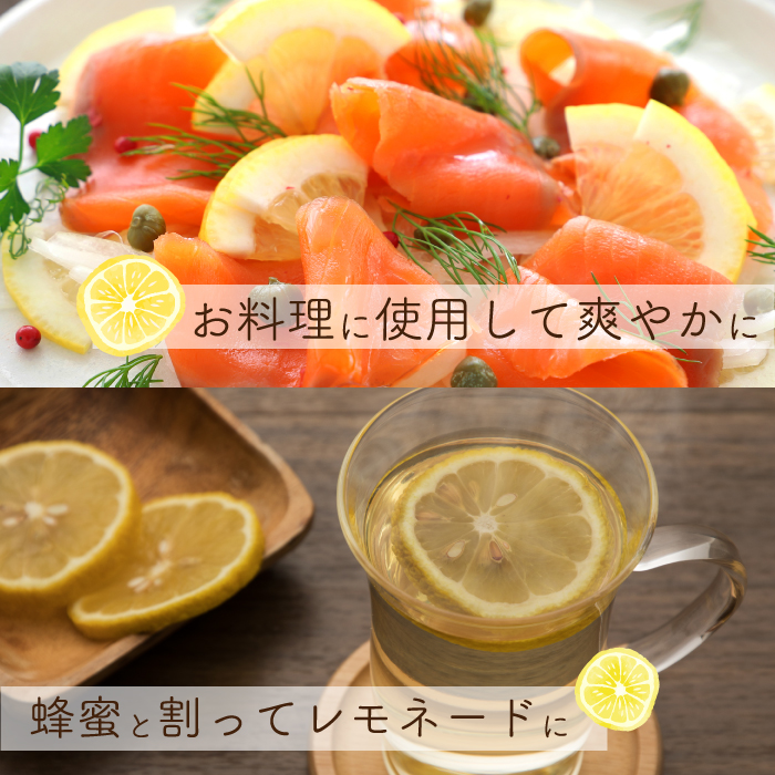 【おくはち農園】レモン 2.5kg 《2025年11月～2026年3月発送予定》栽培期間中 防腐剤 ワックス 不使用 旬 柑橘 かんきつ フルーツ 果物  166021