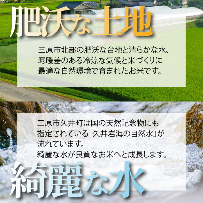 【令和7年】コシヒカリ 精米（白米）10kg こしひかり ごはん お米 米 おにぎり 181001
