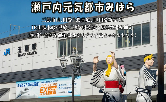 三原やっさラーメン 4食入り とんこつ醤油 熟成生縮れ まじま製麺 とんこつ ラーメン 拉麺 お取り寄せ ギフト 009001