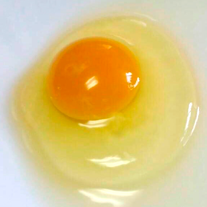 レモン 卵【先行受付】【2025年11月以降発送】平飼い有精卵「島たまご」10個＋2個（保障付）栽培期間中農薬・除草剤を使わず育てた瀬戸内レモン3kg  広島 三原 佐木島 鷺島みかんじま 017036