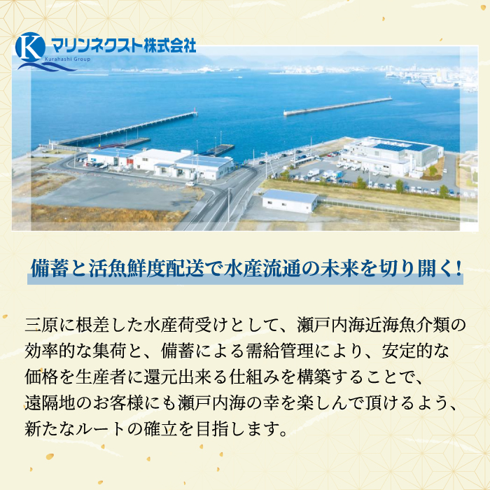 瀬戸内海の豪華な恵み！一夜干し・漬け魚おまかせセット（４～５パック） 魚 肴 おつまみ 海鮮 干物 車エビ 西京漬け 広島レモンサーモン 粕漬け 鯛 タイ ハモ カマス シズ 鱧 かます みそ漬け 味噌漬け ギフト 詰め合わせ プレゼント ギフト 瀬戸内 ランダム 食べくらべ お取り寄せ 056001
