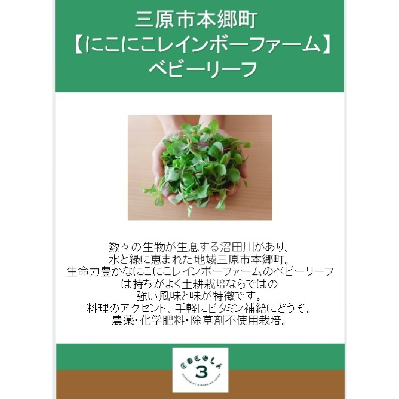 【栽培期間中無農薬】野菜のプロが選ぶ. 旬の野菜・卵・天然塩・ハーブティー  全６～８品詰め合わせセット（レシピ付き） 野菜 塩 卵 たまご 有機農家  野菜セット オーガニック レシピ 広島県 三原市 佐木島 083002