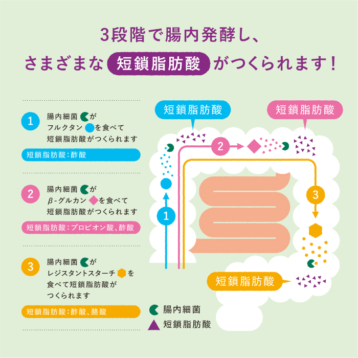 マイ・フローラグラノーラ200g×2袋 食物繊維 腸活 野村乳業 104013