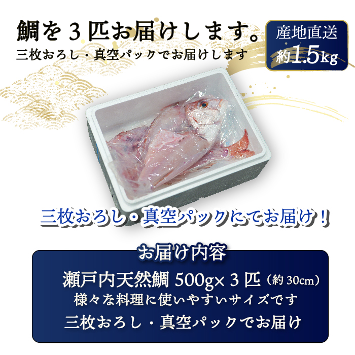 瀬戸内産 天然真鯛 約1.5kg（500g×3匹）【調理が楽ちん！三枚おろし・真空パックでお届け！】鯛 天然鯛 真鯛 天然 鮮魚 下処理済 三枚おろし 瀬戸内 広島県 三原市　154002