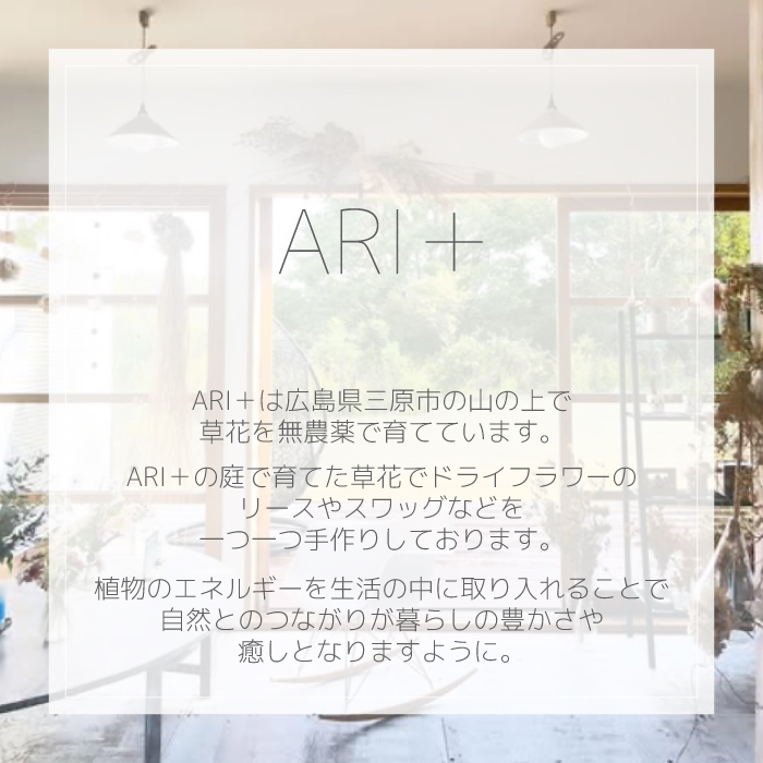 【ARI＋】ドライフラワーフレーム A ナチュラル 自宅 インテリア 花 置物 お祝い ギフト 装飾 226001