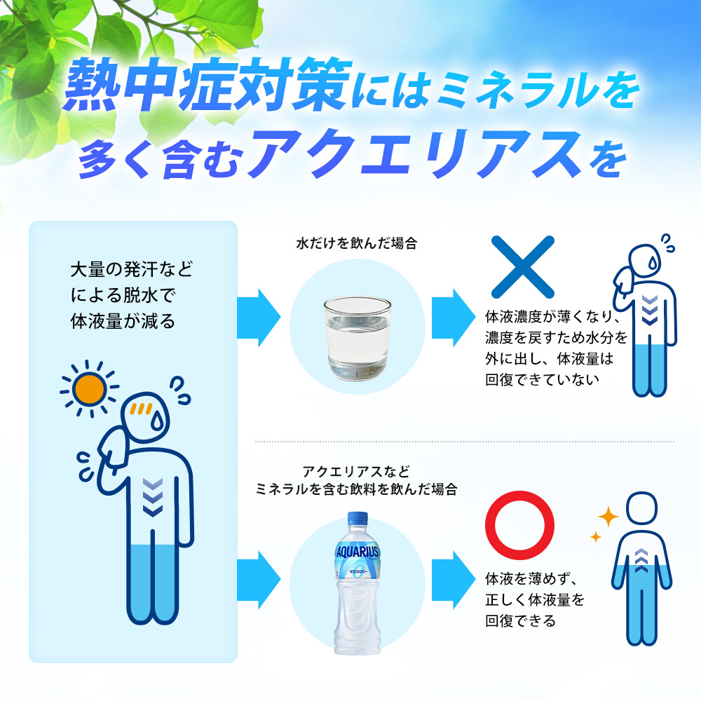 アクエリアスゼロ PET 500ml×48本(24本×2ケース)  スポーツドリンク スポーツ飲料 清涼飲料水 水分補給 カロリーゼロ ペットボトル 箱買い まとめ買い 備蓄 災害用 014021