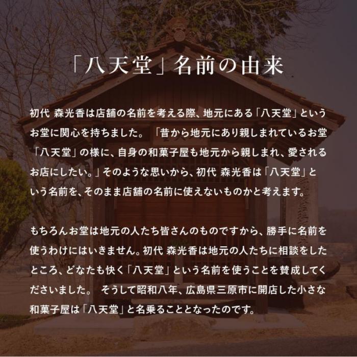 2026年1月4日まで≪特別寄附額≫【八天堂】とろけるくりーむパン 10個詰合せ (5種×2個) クリームパン 菓子パン スイーツ カスタード 生クリーム チョコレート 抹茶 フローズン 冷凍 ギフト すいーつ 015014